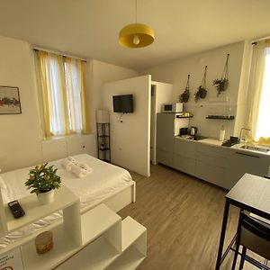 Familie Studio met een King Size Bed